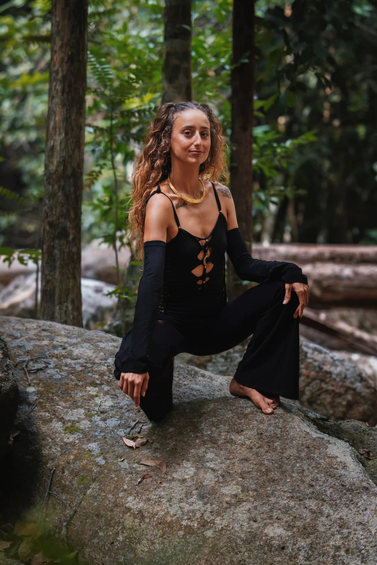 Soof seated calmly on a forest rock